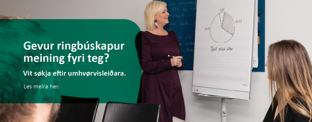 Umhvørvisleiðari IRF