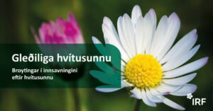 Hvítusunna: Broytingar í innsavningini